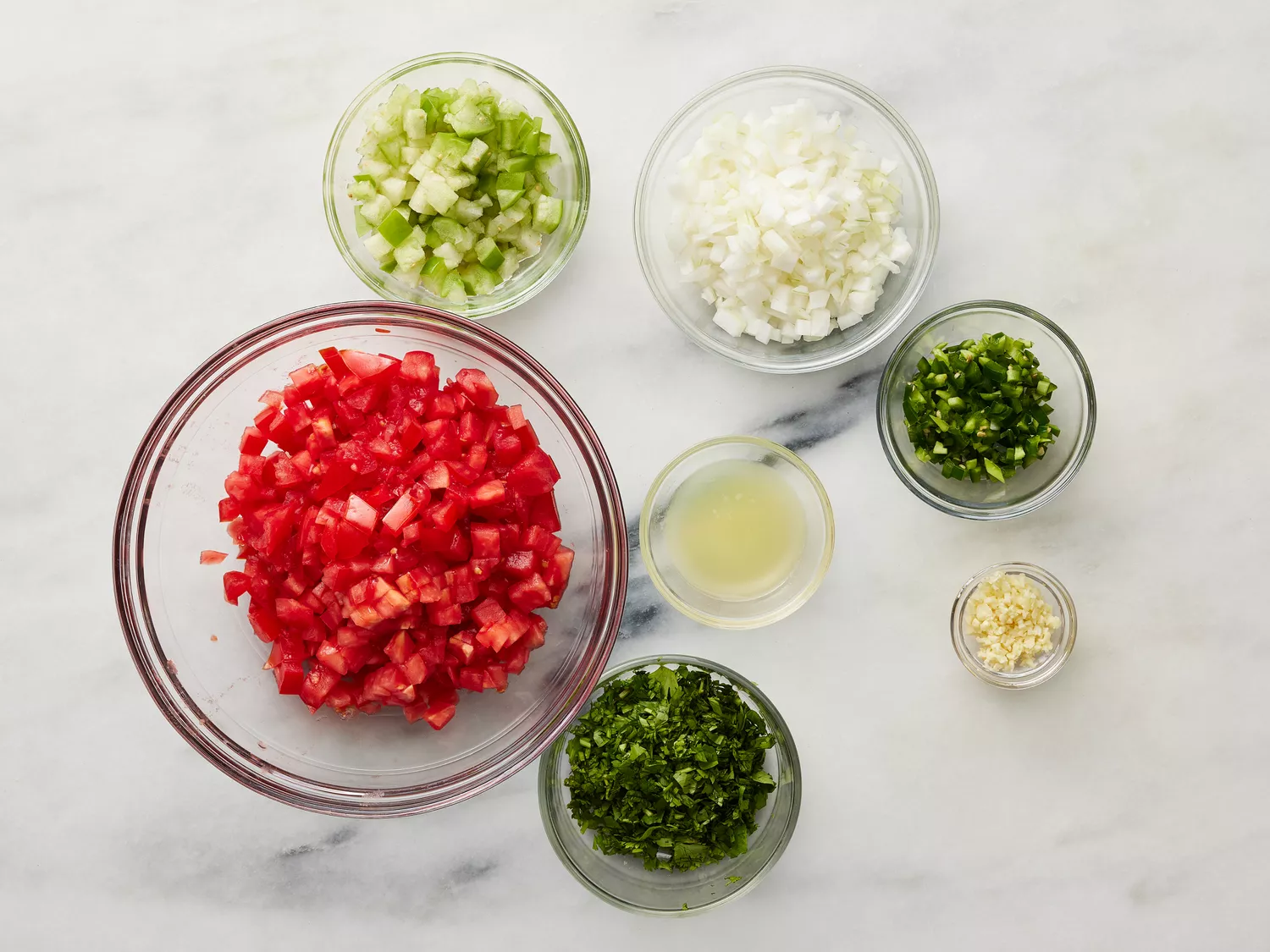 All ingredients gathered to make salsa.