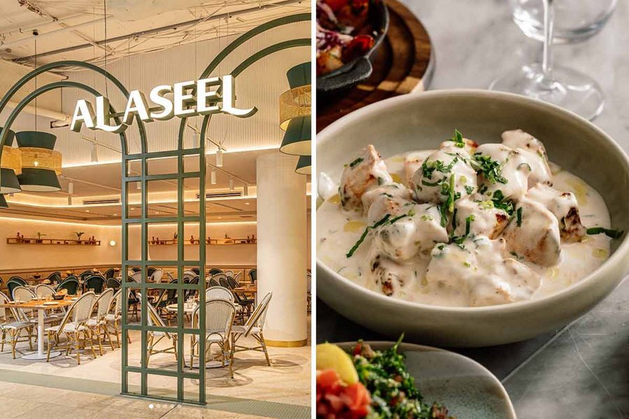 Lebanese Lemon Garlic Chicken – Al Aseel Recipe