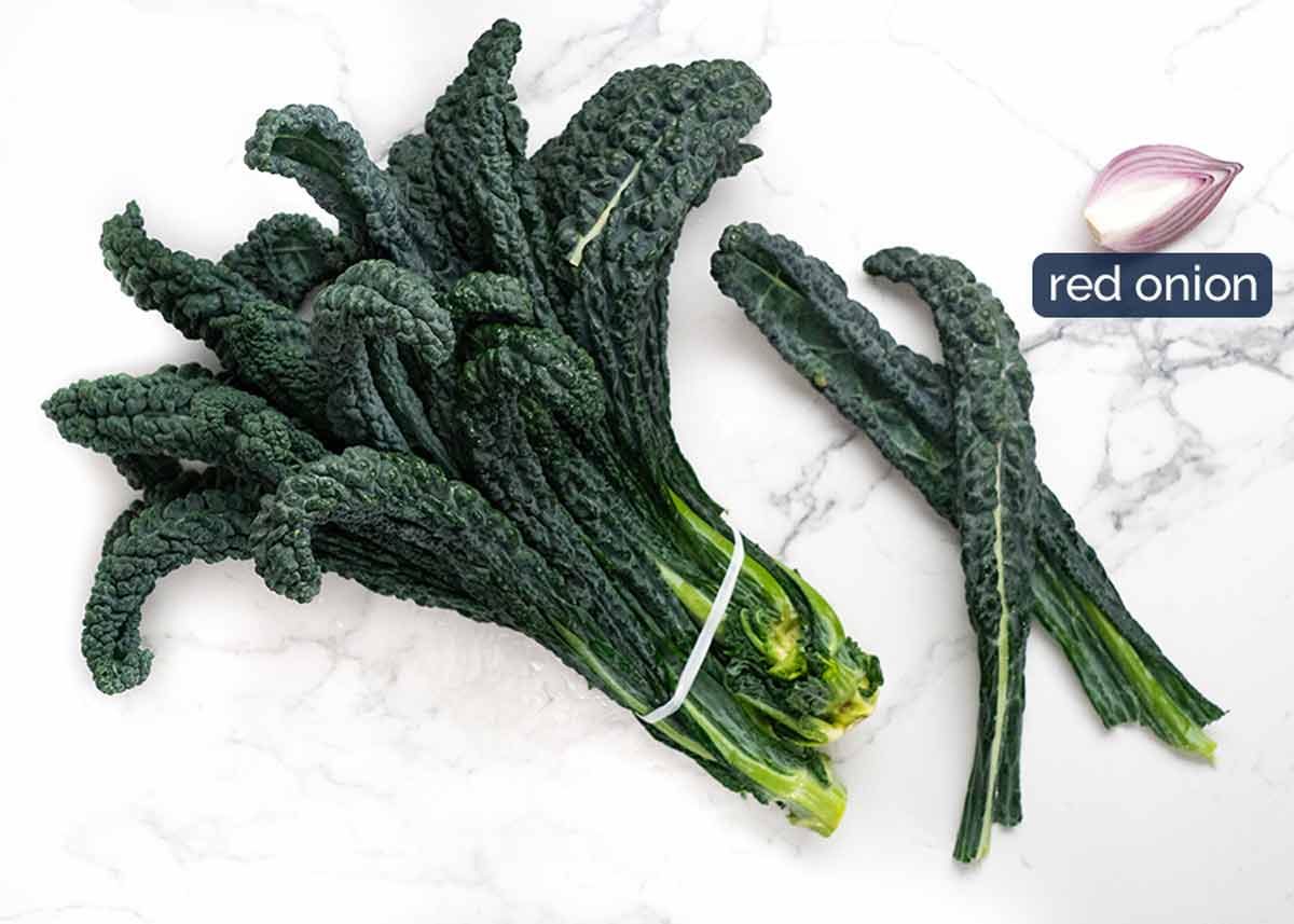 The most amazing Chicken Kale Salad Recipe Chicken Kale salad ingredients