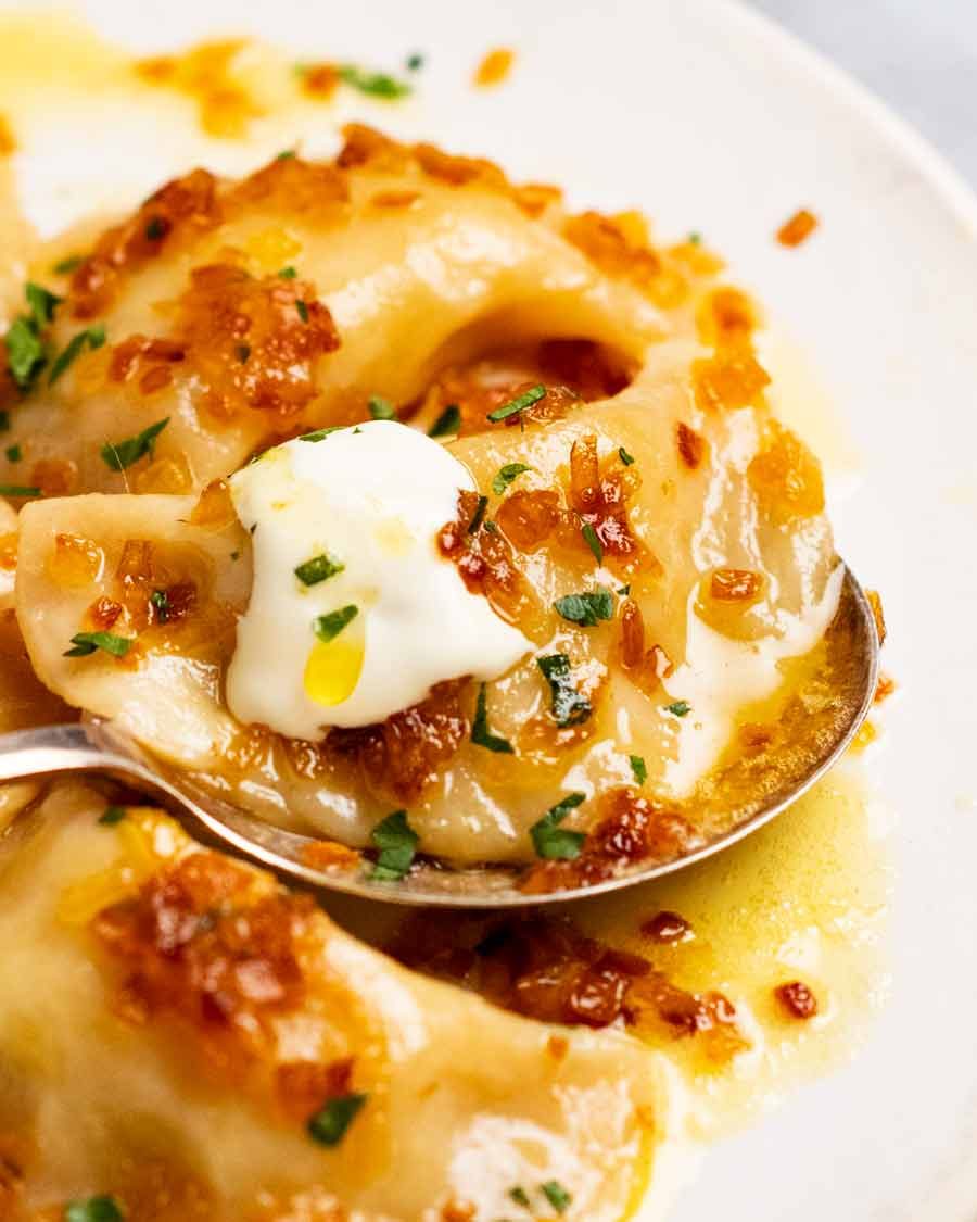 Pierogi – Polish dumplings Recipe Close up of Pierogi Ruskie (Polish Dumplings)