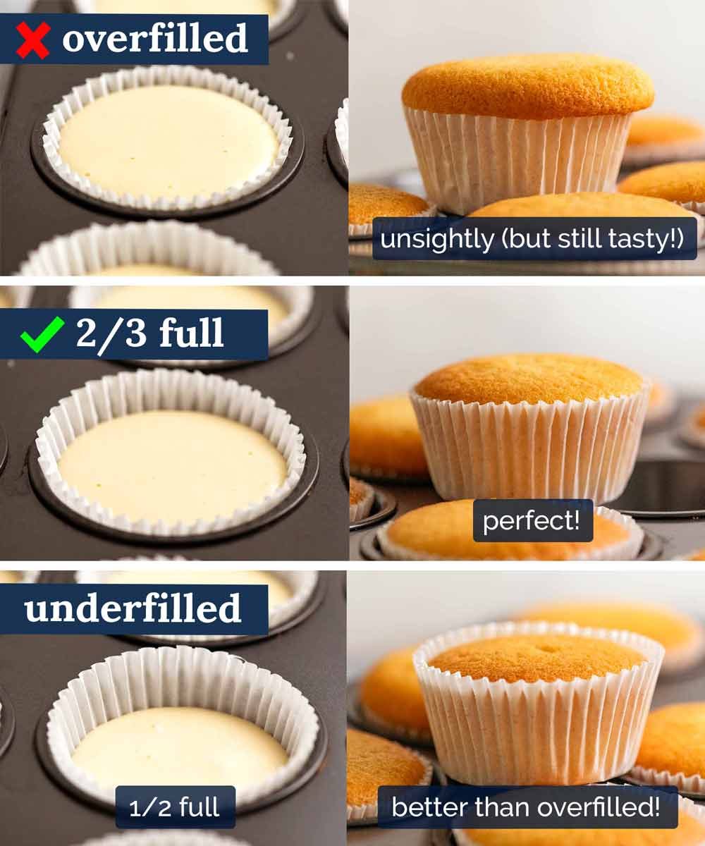 Vanilla Cupcakes (that actually stay moist) Recipe How much batter to put in cupcakes