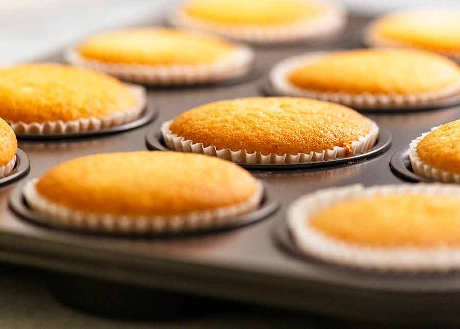 Vanilla Cupcakes (that actually stay moist) Recipe Vanilla Cupcakes in muffin tin, fresh out of the oven