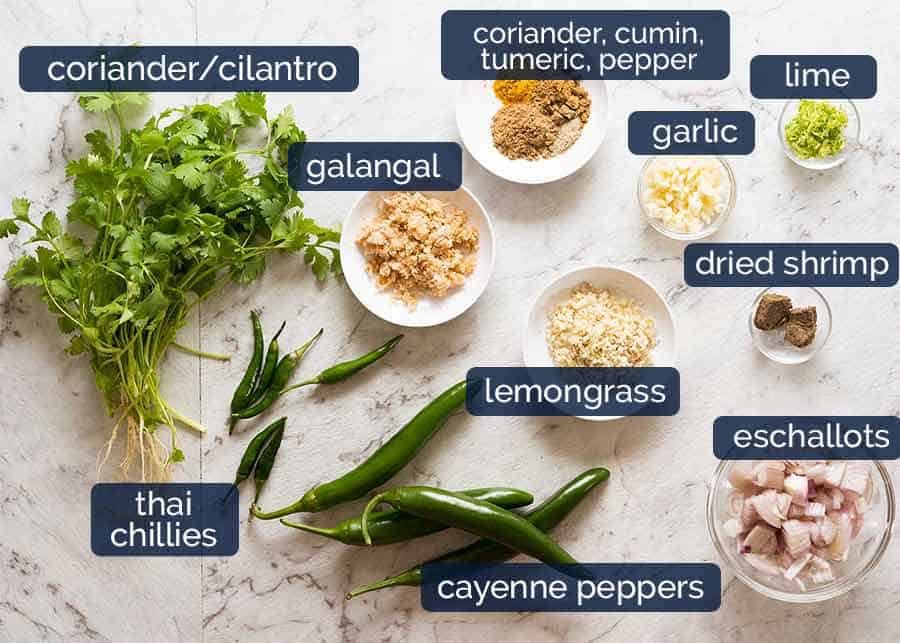 Thai Green Curry Paste recipe What goes in Thai Green Curry Paste homemade from scratch