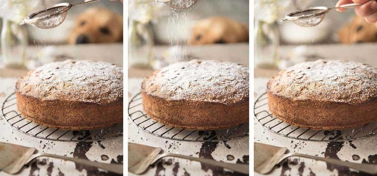 Dozer photo bombing Apple Cake photos