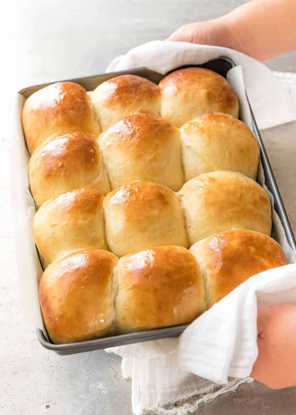 Soft No Knead Dinner Rolls Recipe Soft no knead dinner rolls in a baking pan, fresh out of the oven.