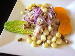 Close up view of ceviche peruano with corn, onions, carrots and lettuce on a white plate