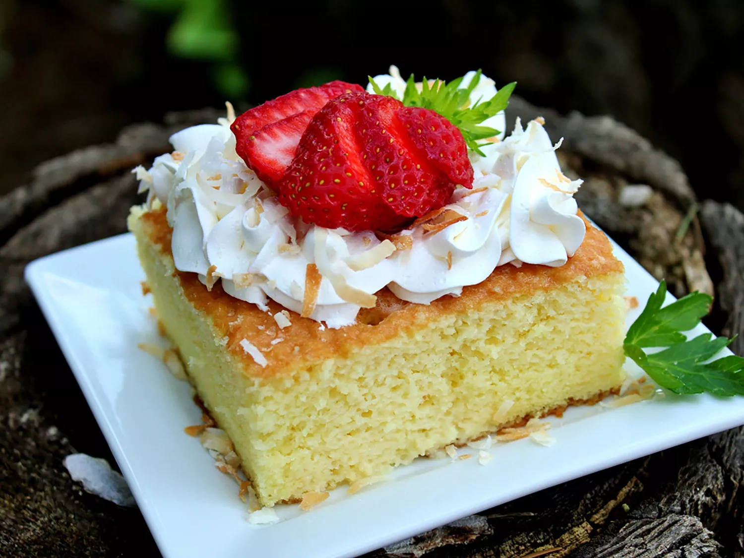 Pastel de tres leches with whipped cream and strawberry on white plate