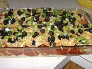 Ground chicken enchiladas
