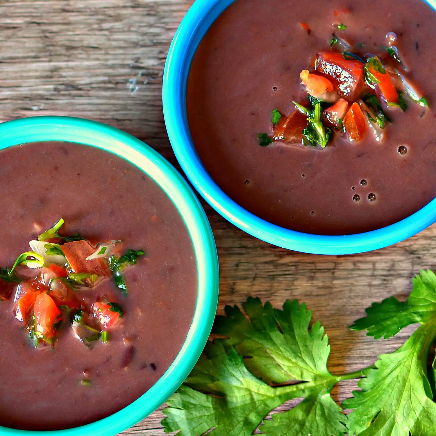 Black bean and salsa soup
