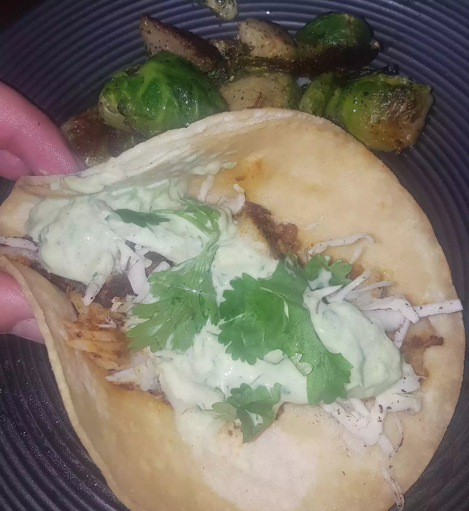 Blackened fish tacos with creamy avocado sauce