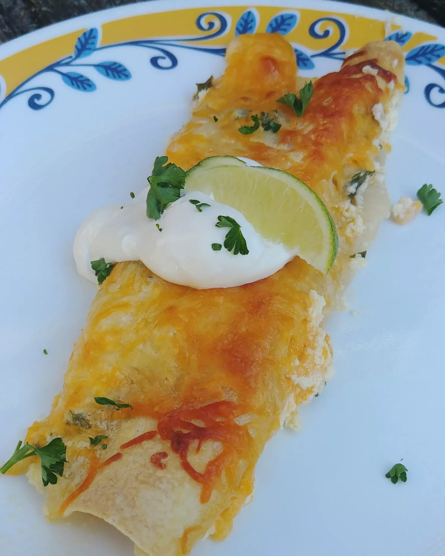 Seafood enchiladas
