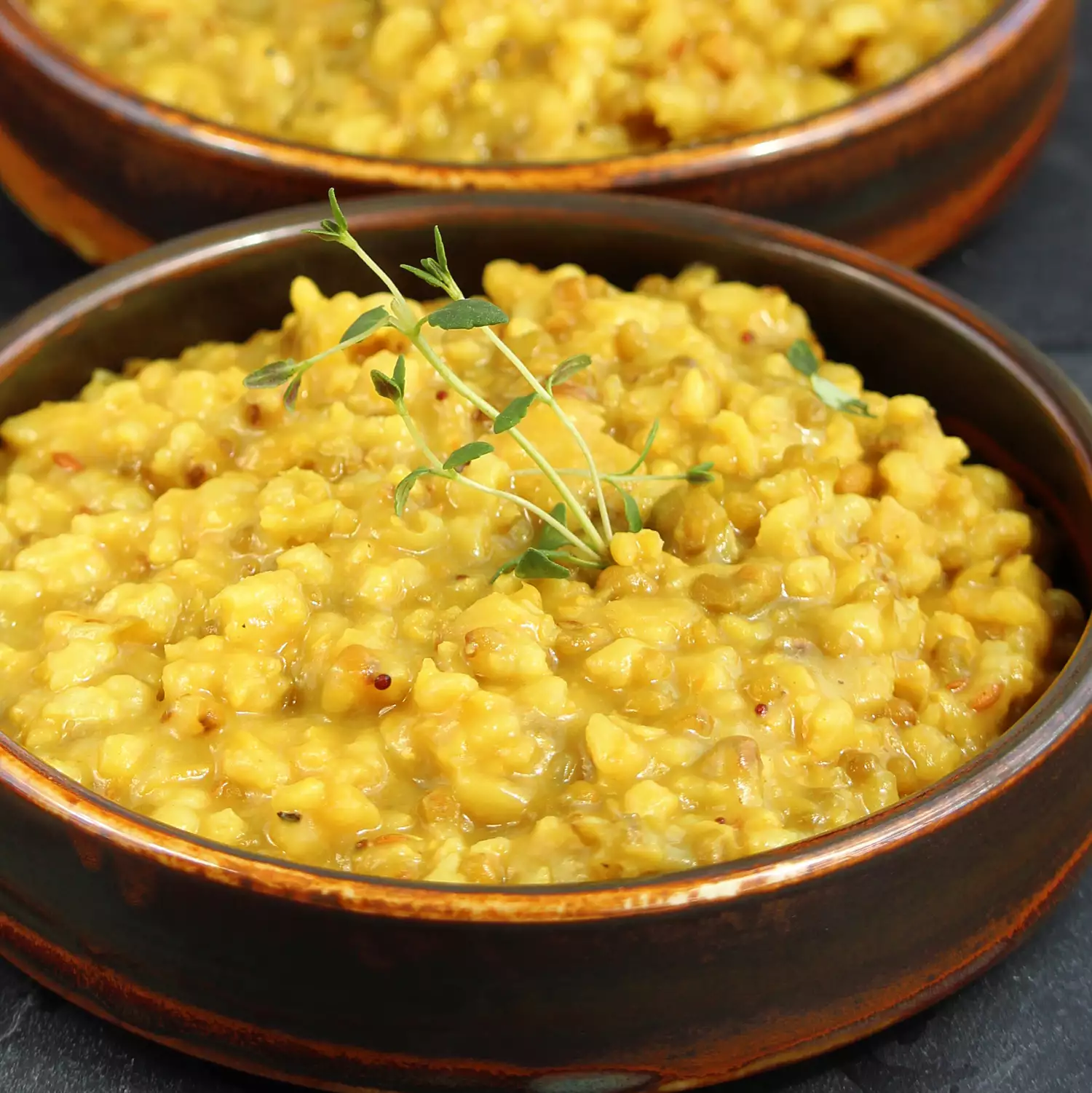 Instant pot® khichdi