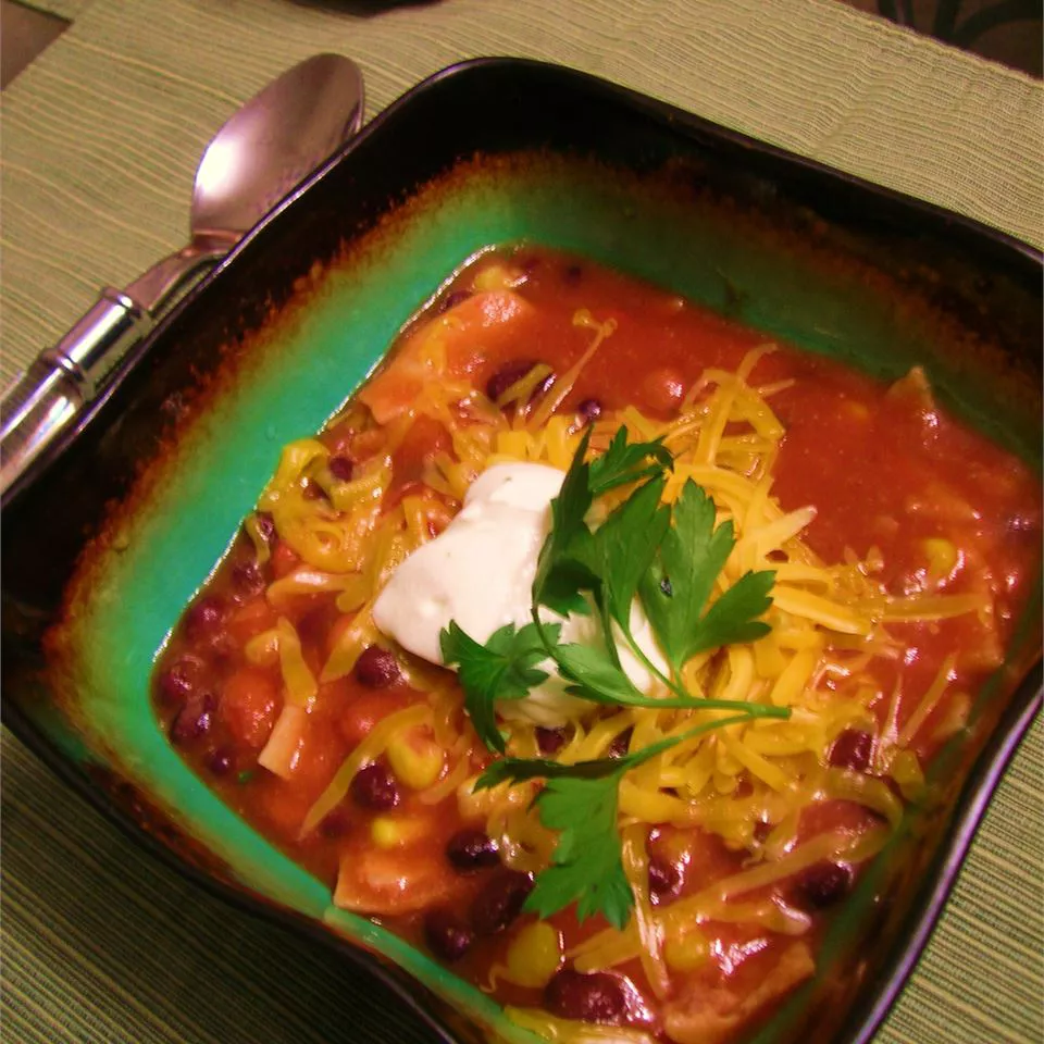 Vegetarian Tortilla Stew Recipe