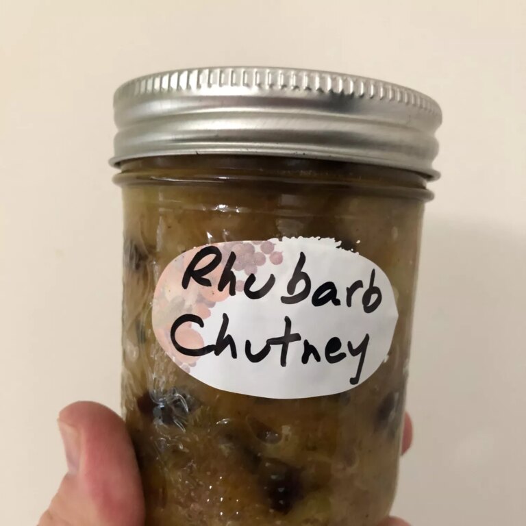 Princess g's rhubarb chutney