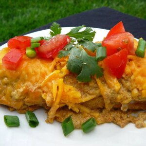 Sour cream chicken enchiladas