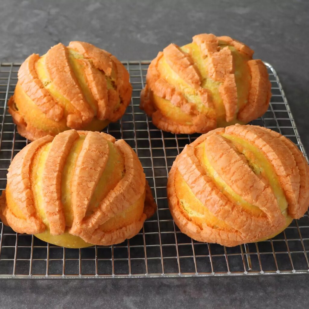 Pumpkin conchas on wire racj