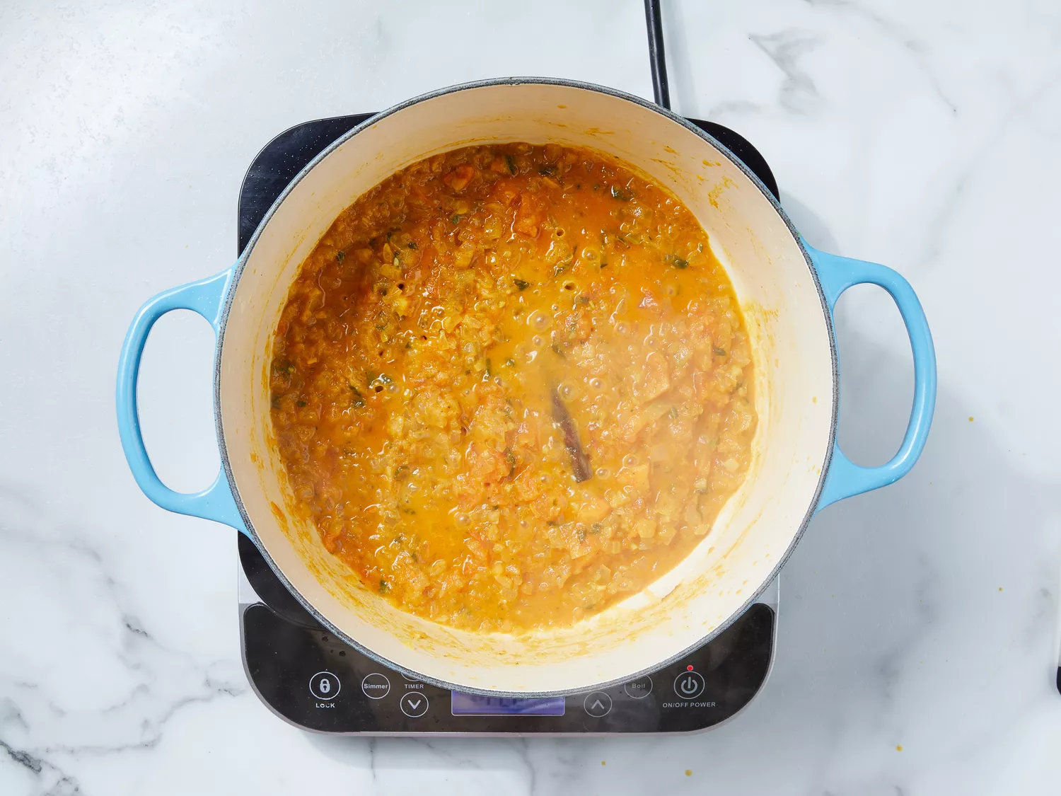 yogurt, ground cardamom, mint, cinnamon stick and hot water added to skillet, cooking until tomatoes turn to pulp.