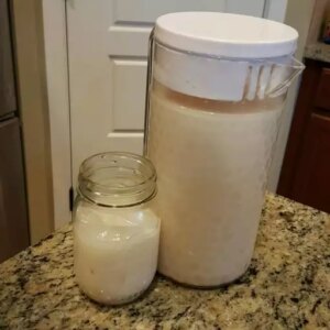 Recipe blaster image 1757935819